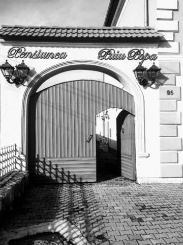 Фотографии Гостевой дом Pensiunea Puiu Popa г. Кодля (Румыния) №3 Фото Гостевой дом Pensiunea Puiu Popa г. Кодля 3